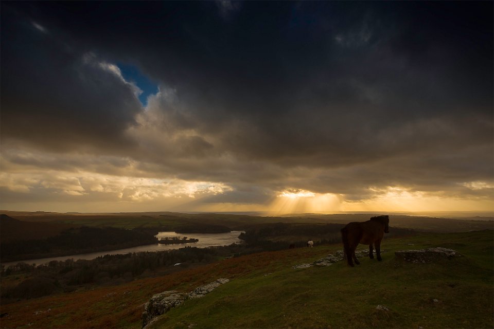 burrator dreaming3